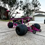 Racing Raspberry Mini Tike